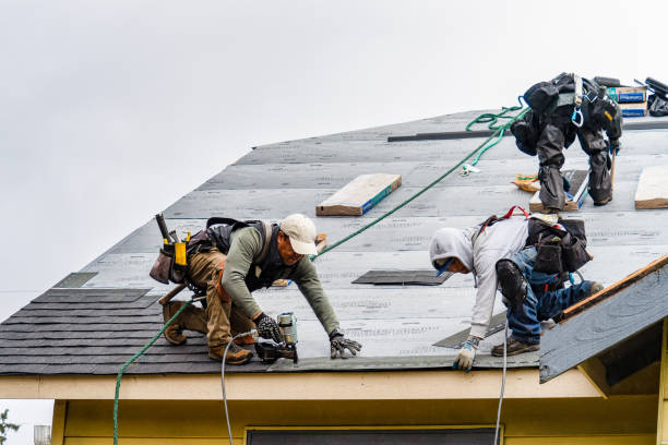 Professional Gutter Installation technician working in Justin, TX